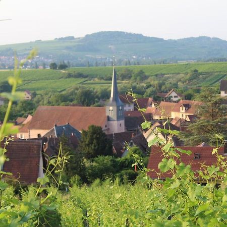 Superbe logement de 80m2 à L'orée des vignes Wangen Exterior foto